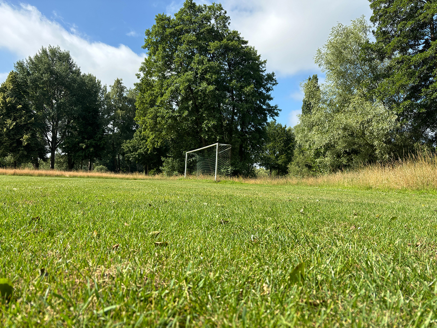 Viel Rasen, ein Tor, blauer Himmel und gesäumt von Bäumen – so lässt es sich aushalten.