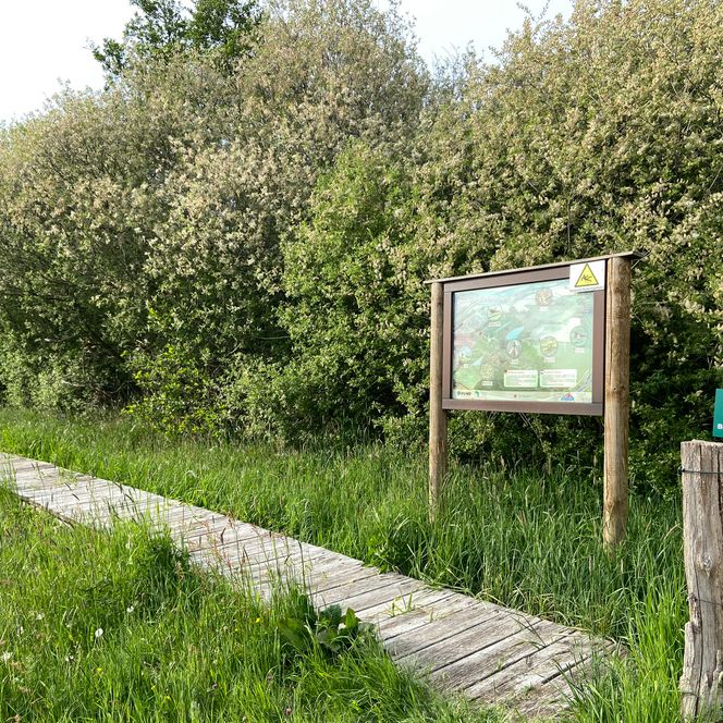 Zu sehen ist der Holzsteg, der zur Aussichtsplattform führt sowie ein Info-Schild über die Naturschutzmaßnahme.