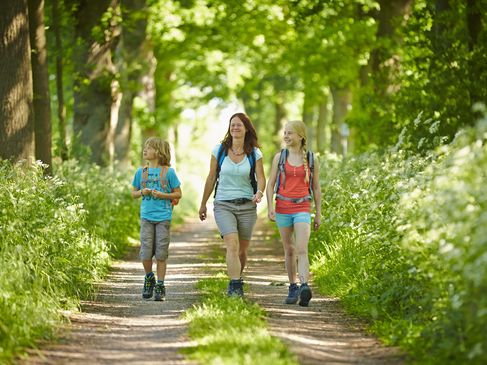 Eine Mutter wandert mit ihren zwei Kindern durch einen sonnenbeschienen Wald.