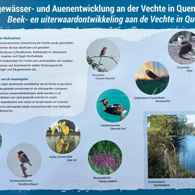 Ein Schaubild zeigt die verschiedenen Tiere der Vechteauen.