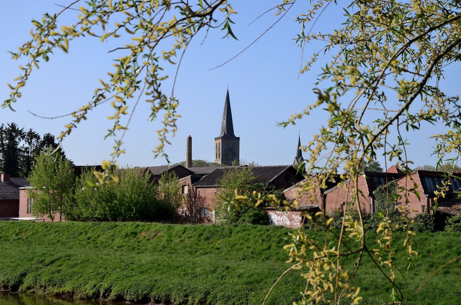 Über eine Wiese blickt man in der Ferne auf die Stadt Schüttorf mit dem Kirchturm der ev.ref. Kirche.