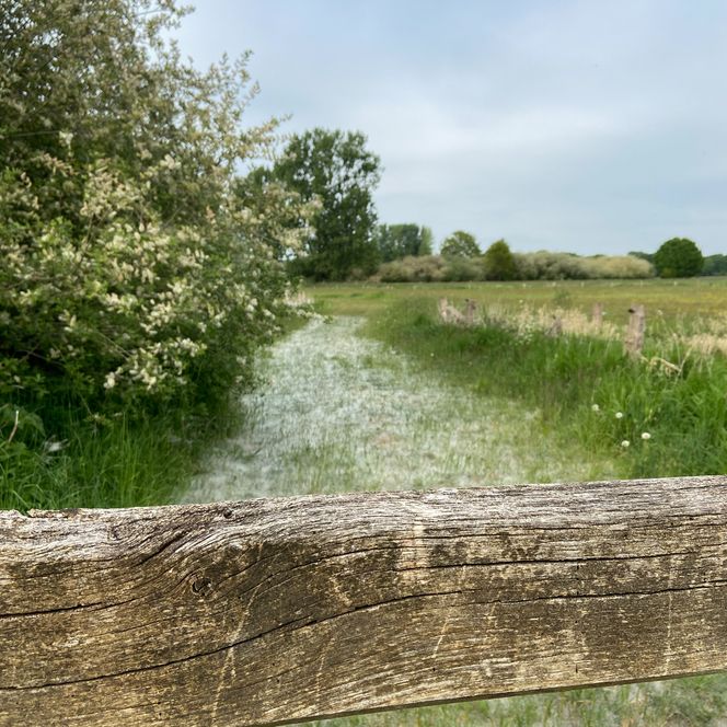 Wiesen und Bänken der Naturstation.