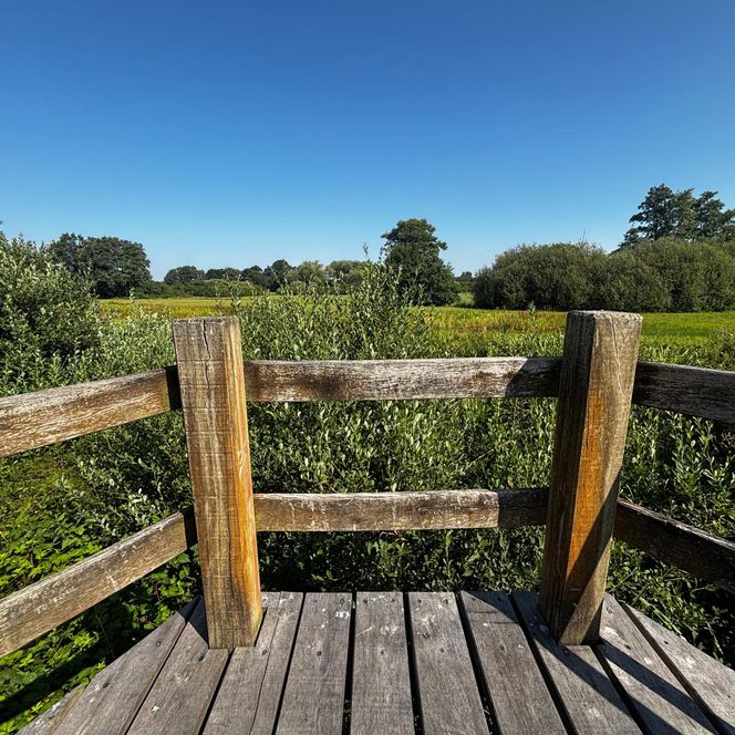 Aussichtsplattform Naturstation Vechtetal bei herrlichem Wetter.