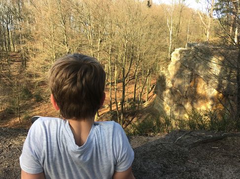 Noch haben die Bäume keine Blätter, aber bald. Über die Schultern eines Jungen kann man von den Bentheimer Klippen den Wald sehen.