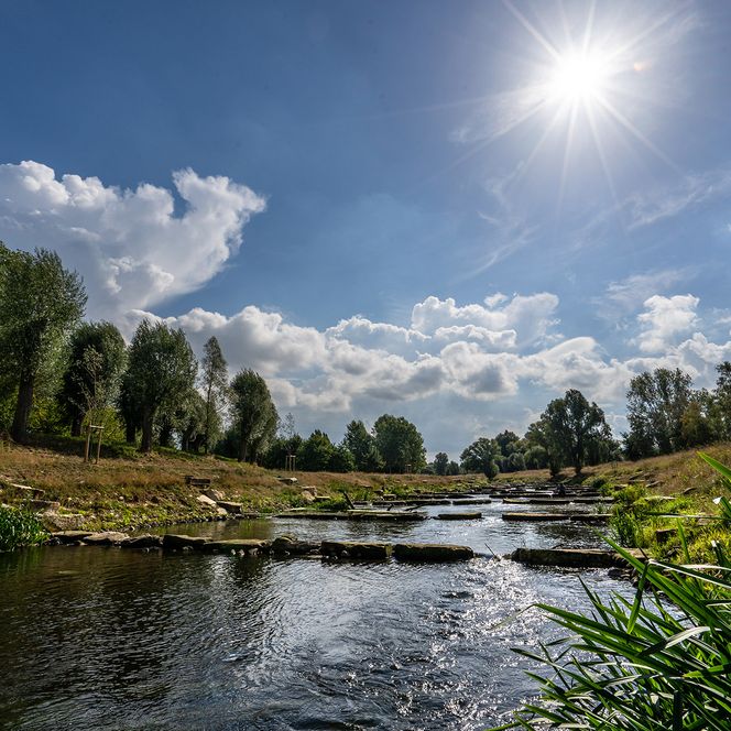 Zu sehen ist die Sohlgleite und die Ufer der Vechte. Der Blickwinkel und die Sonne verleihen dem Bild eine beruhigende Stimmung.